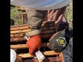 A simple way to install packages of Bees #beekeeping #geesbees #bee #apiary #beekeeper #package ￼