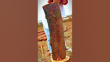 use of a sharp axe to split a tree trunk #shorts