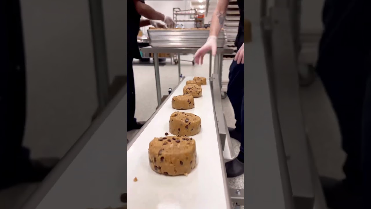 Dough Extruder for Bakery with Conveyor