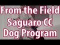 CCA's Saguaro Correctional Center Inmates Train Dogs CCA's Saguaro Correctional Center Inmates Train Dogs
