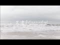 Sano Ibuki - 久遠 「Eternity」(One Room Angel OST) [Rom/Kan/Eng Lyrics]