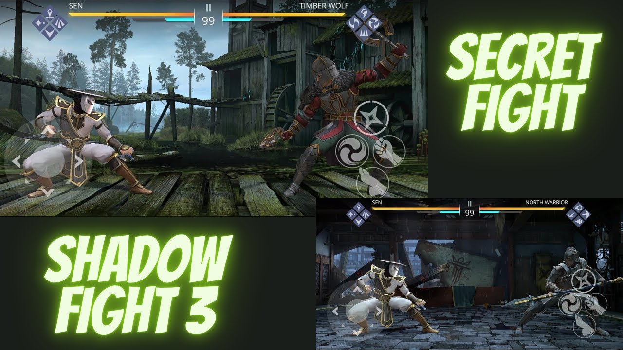 This SECRET FIGHT 😳⚔️ | Shadow Fight 3 