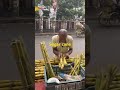 Sugar cane