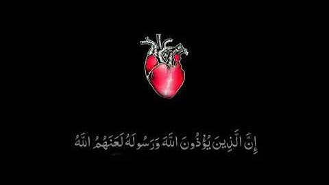 تلاوة هادئة وجميلة || حالات واتس اب دينية || مقاطع انستغرام قصيرة