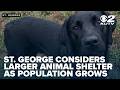St. George considers larger animal shelter as population grows