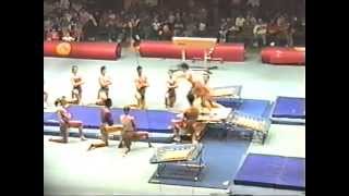Vaulting