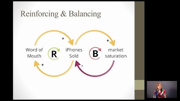 Systems Thinking: Causal Loop Diagrams