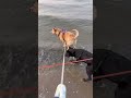 Beach day