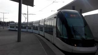 Strasbourg Tram B - Citadis 403 Cts À Hœnheim Gare