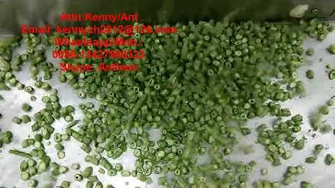 CH-20 green bean cutting slicing machine, celery cutter slicer