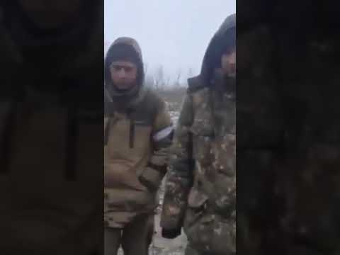 Предпросмотр