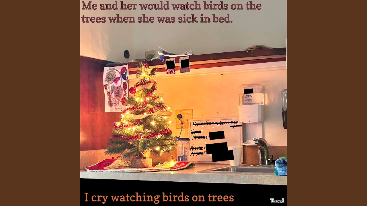 Me and her would watch birds on the trees when she was sick in bed. I cry watching Birds on Trees