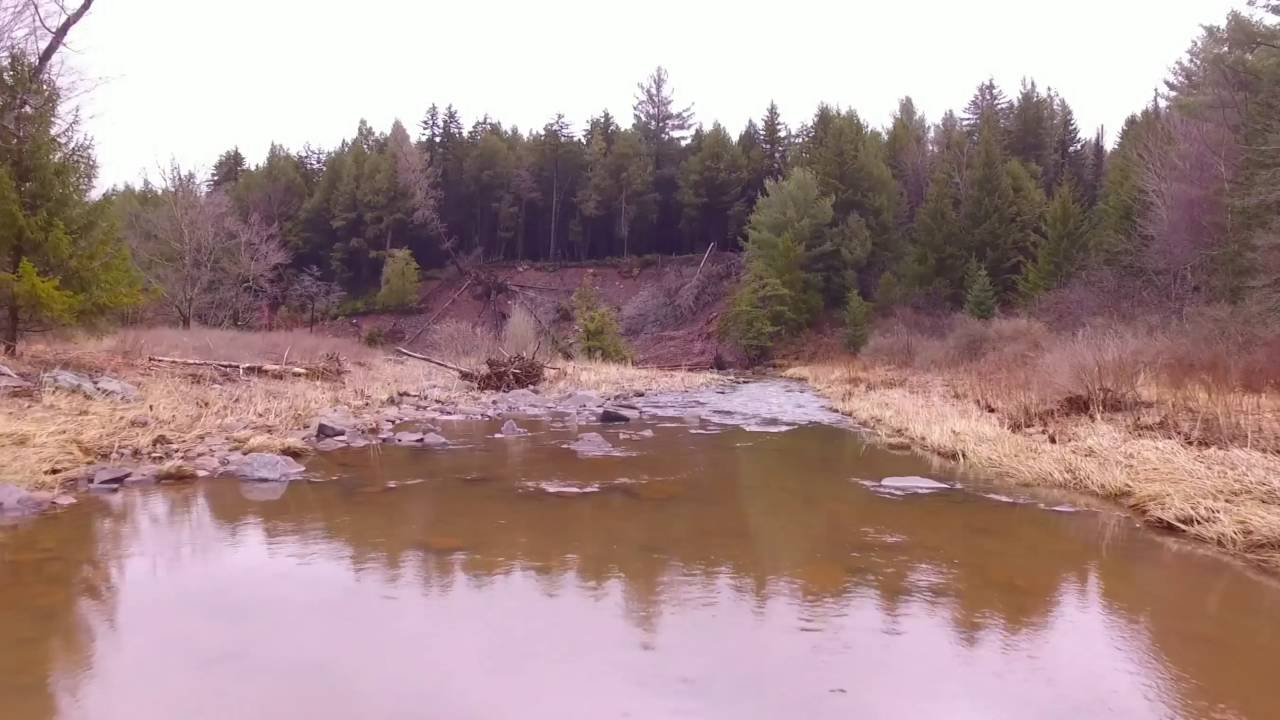 DJI Phantom 3  East Kill Creek - East Jewett - NY