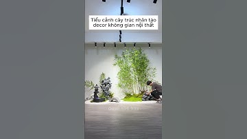 Tiểu cảnh cây trúc quân tử giả decor nội thất - XanhVina