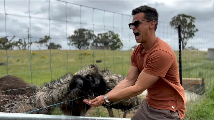 100 Honeymoons Episode 1 - Mudgee, NSW, Australia
