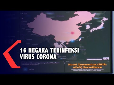 Video: Placido Domingo Mengonfirmasi Di Jaringan Bahwa Ia Memiliki Virus Corona