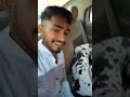  great dane dog dewas enjoy bhai neeraj ke sath