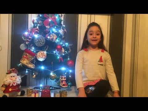 ნათია აბულაძე”თოვლის პაპას დარიგება”