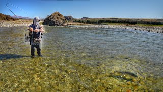 This Brown Trout River Might Be the Best I’ve Ever Fished! screenshot 5