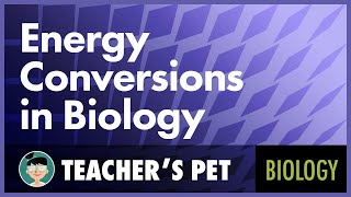 Energy Conversions in Biology