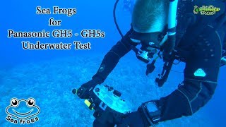 Подводный бокс Sea Frogs GH5 waterproof case после месяца использования