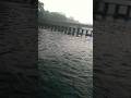 కుమారధార నది#kukke subramanya swamy temple#kukke #travel #nature #waterfall #lake #fish