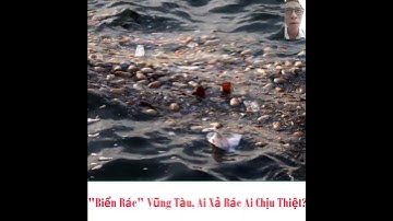 Có 1 "Biển Rác" Ở VŨNG TÀU, Ai Xả Rác Ai Chịu Hậu Quả ? #baibienvungtau  #bienvungtau