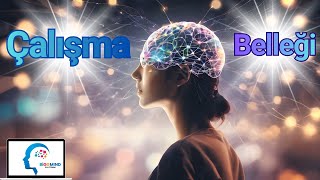 Çalışma Belleğini Gerçekten Geliştirebilir Miyiz? Bilimsel Kanıtlar Ve Pratik Stratejiler