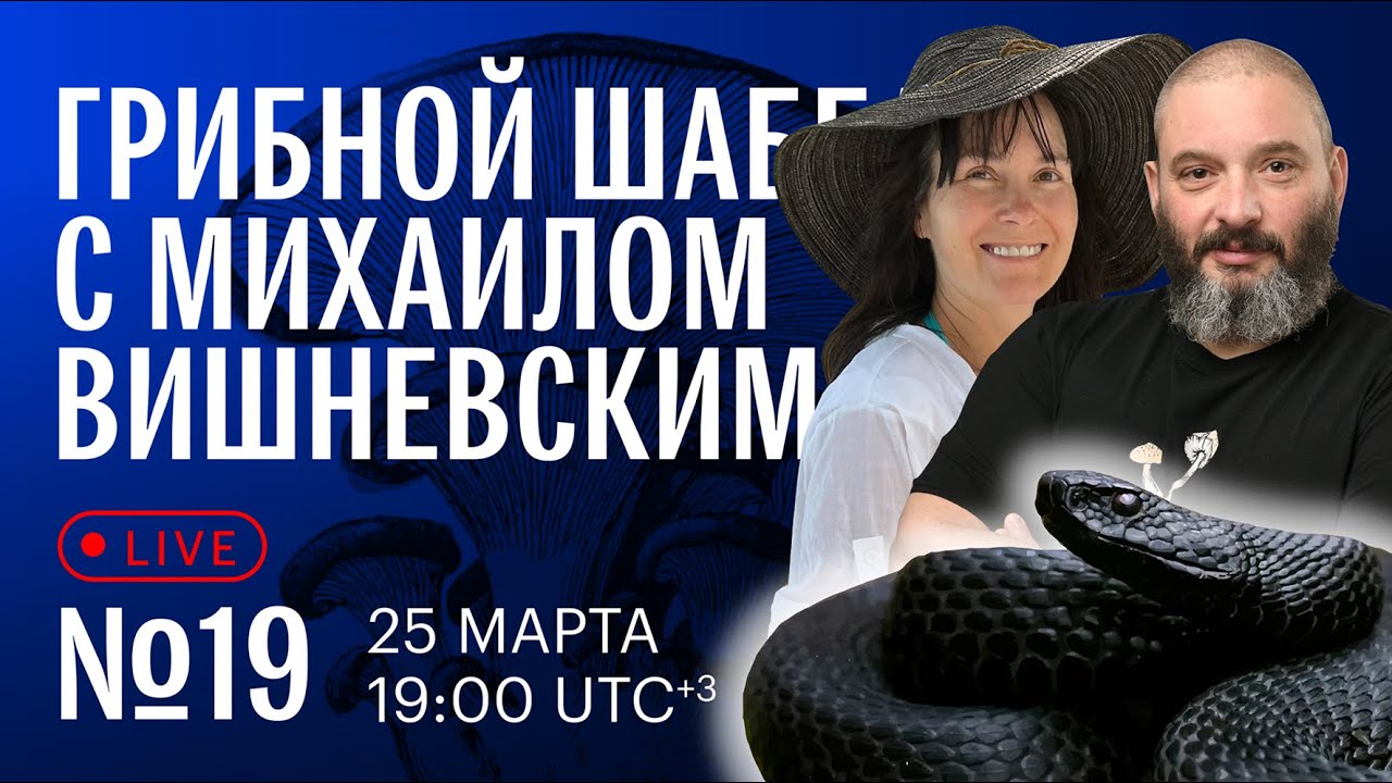 Грибной шаббат с Михаилом Вишневским №19. Про гадюку - YouTube