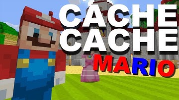 CACHE CACHE SUR MINECRAFT MAP MARIO | PS4 FR