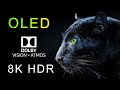 Dolby Vision Stunning Nature Time-Lapse | Discover the Wonder of Planet 4k-8k