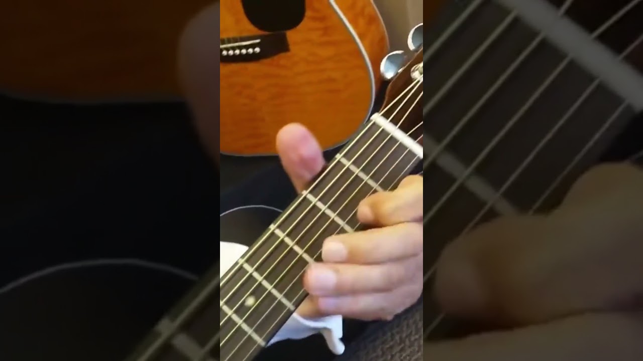 Strum with a Zager Guitar!