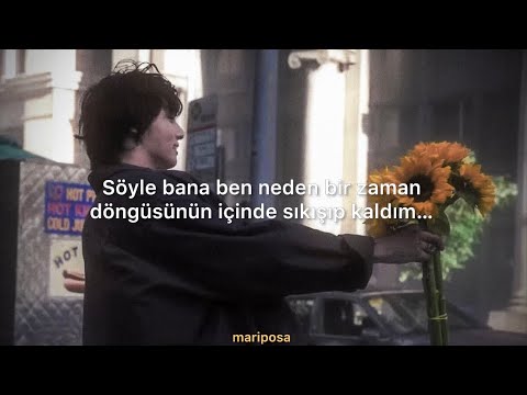 vaultboy - everything,