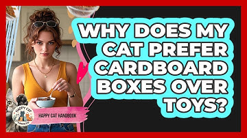 Why Does My Cat Prefer Cardboard Boxes Over Toys? - Happy Cat Handbook