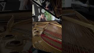 Moonlight Sonata No. 14 Op.27 no.2 1st mvt.