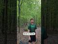 Can I ace or am I still cursed? #discgolf #sports #ace