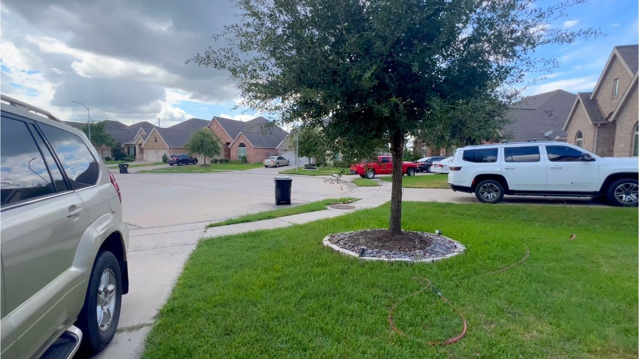 আমাদের হানির জন্যে নতুন বান্ধবী  নিয়ে আসলামI Fathima's Lifestyle USA