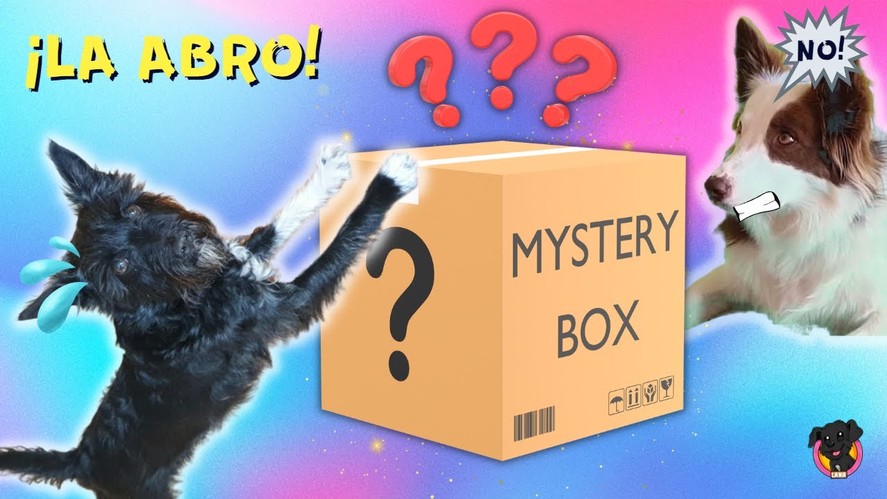 Abro CAJA MISTERIOSA de mi hermana Mel / Lana