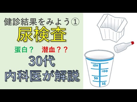 【医師が解説】健診結果をみよう①　尿検査