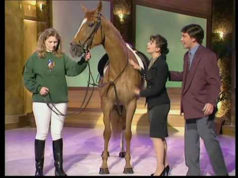 Alan Partridge - KMKY 1.1 Sue Lewis -show jumper.mp4