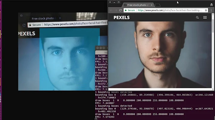 DetectNet with TensorRT in Host PC GPU