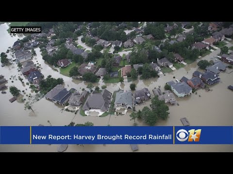 Report: Harvey's 5-Day Rainfall In Texas Unprecedented In US