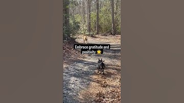 Liberate your mind from self-limiting beliefs with mental training and hypnosis