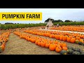 Farmer John's Pumpkin Farm in Half Moon Bay