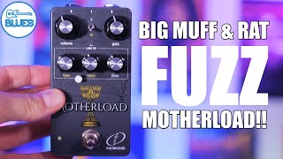 mqdefault.jpg