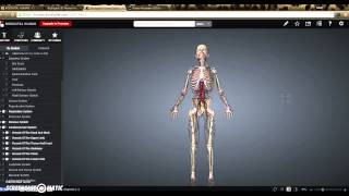 Biodigital Human Tutorial