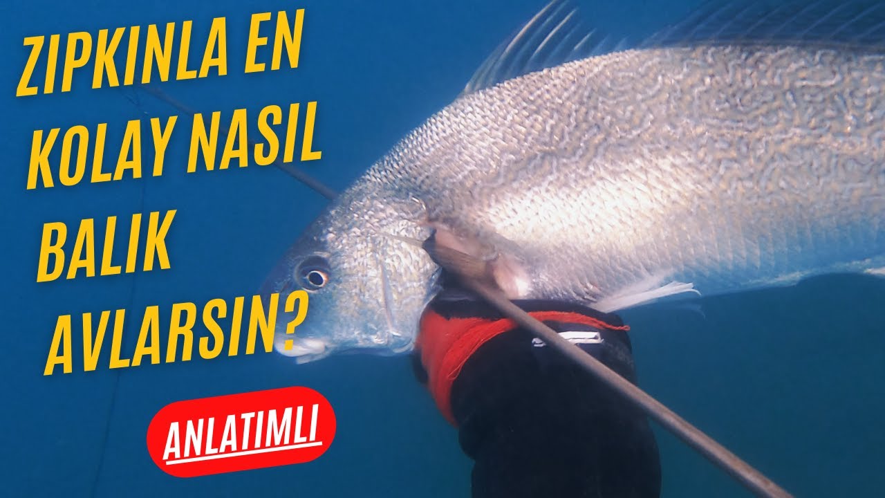 Zıpkınla Kıyıda En Kolay Nasıl Balık Avlanır?