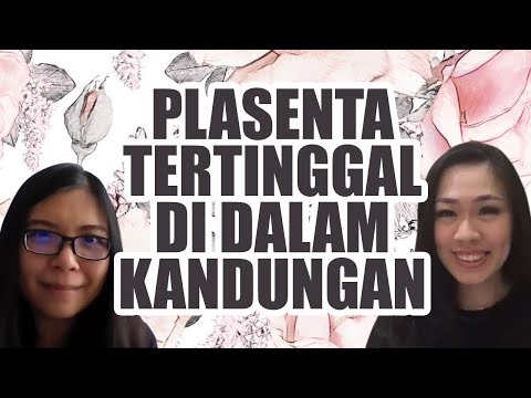 Video: Apakah plasenta mengeluarkan suara?