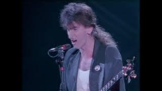 Rush - Manhattan Project (A Show of Hands 1989)