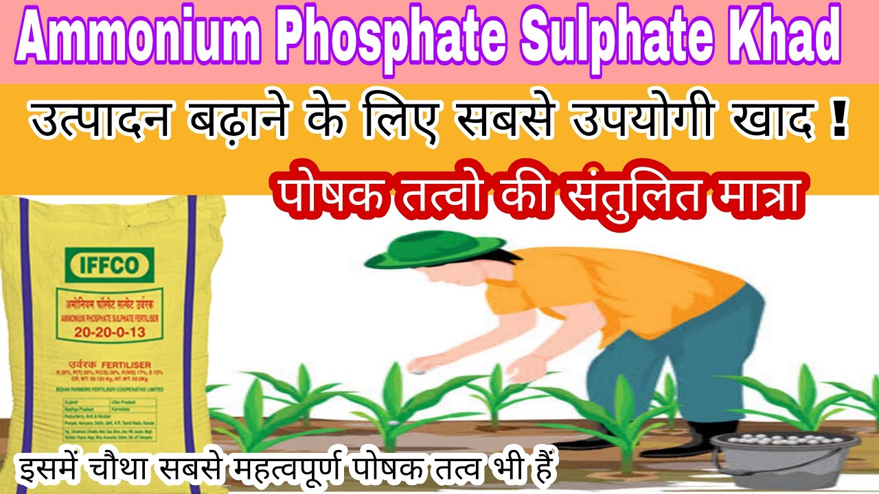 Ammonium Phosphate Sulphate Fertilizer Aps Fertilizer Ammonium 